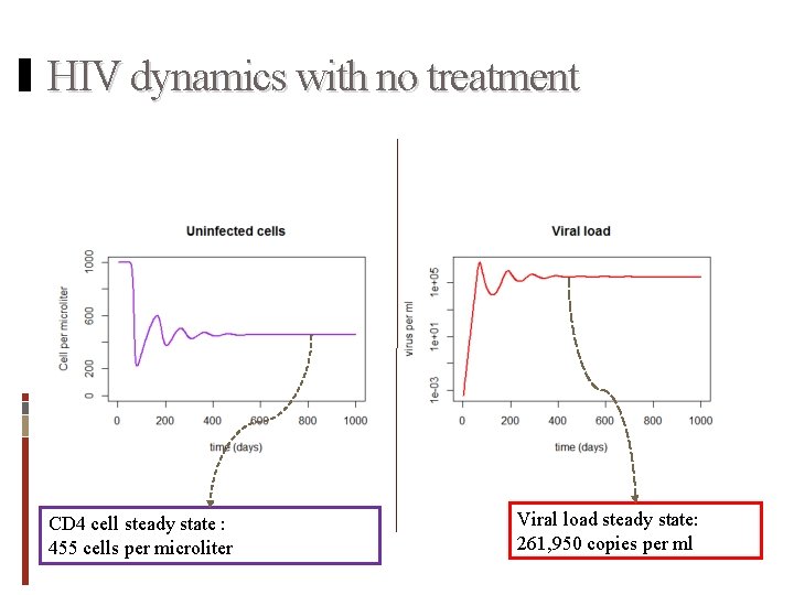 HIV dynamics with no treatment CD 4 cell steady state : 455 cells per