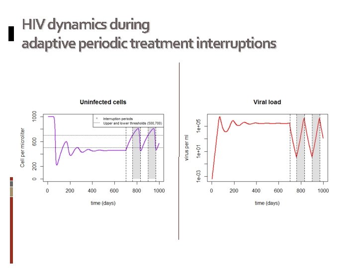 HIV dynamics during adaptive periodic treatment interruptions 