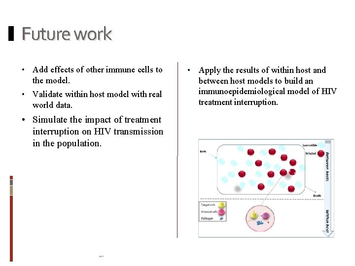 Future work • Add effects of other immune cells to the model. • Validate