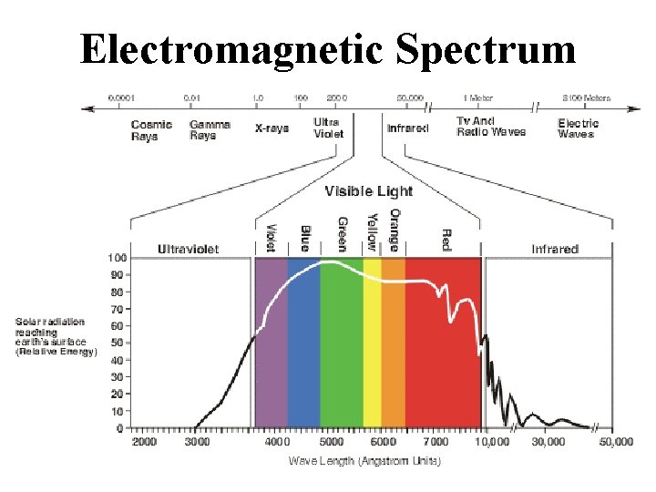 Electromagnetic Spectrum Electromagnetic Spectrum
