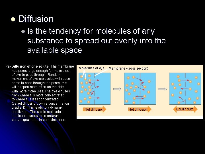 l Diffusion l Is the tendency for molecules of any substance to spread out
