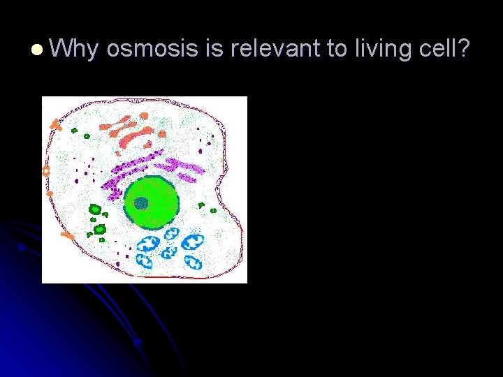 l Why osmosis is relevant to living cell? 