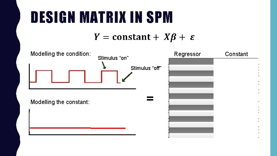 DESIGN MATRIX IN SPM Modelling the condition: Regressor Stimulus “on” Stimulus “off” Modelling the