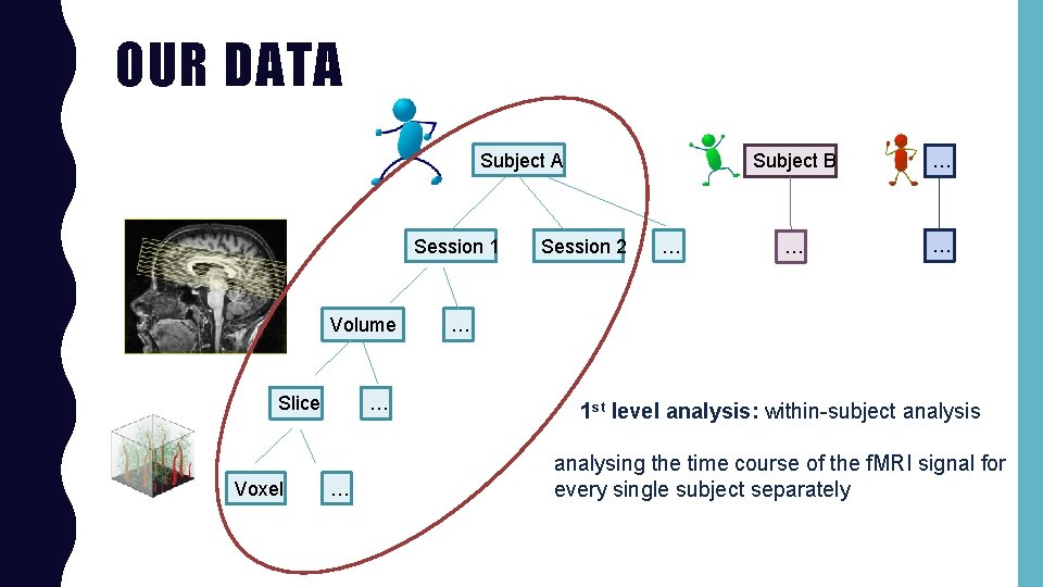 OUR DATA Subject A Session 1 Volume Slice Voxel … … Session 2 …