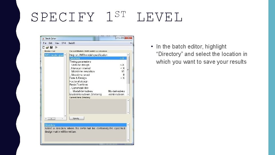 SPECIFY ST 1 LEVEL • In the batch editor, highlight “Directory” and select the