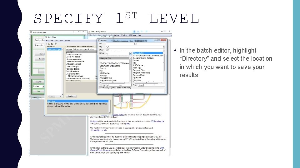 SPECIFY ST 1 LEVEL • In the batch editor, highlight “Directory” and select the