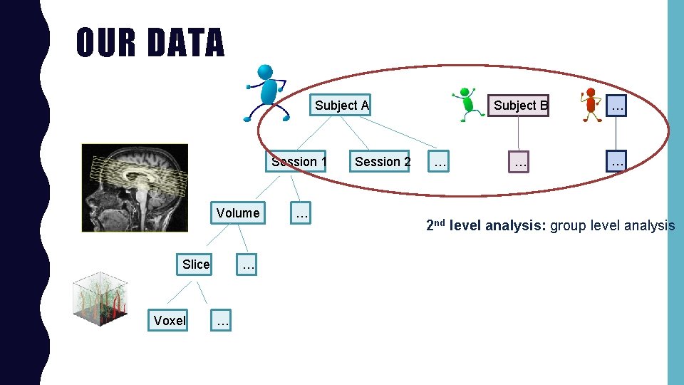 OUR DATA Subject A Session 1 Volume Slice Voxel … … … Session 2