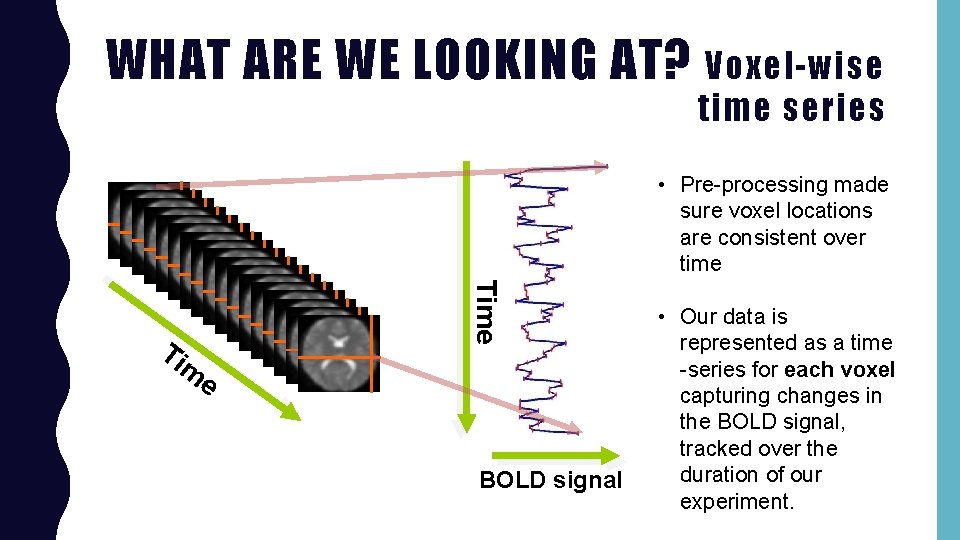 WHAT ARE WE LOOKING AT? Voxel-wise time series • Pre-processing made sure voxel locations