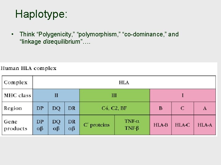Haplotype: • Think “Polygenicity, ” “polymorphism, ” “co-dominance, ” and “linkage disequilibrium”…. 