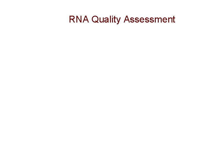 RNA Quality Assessment RNA Quality Assessment