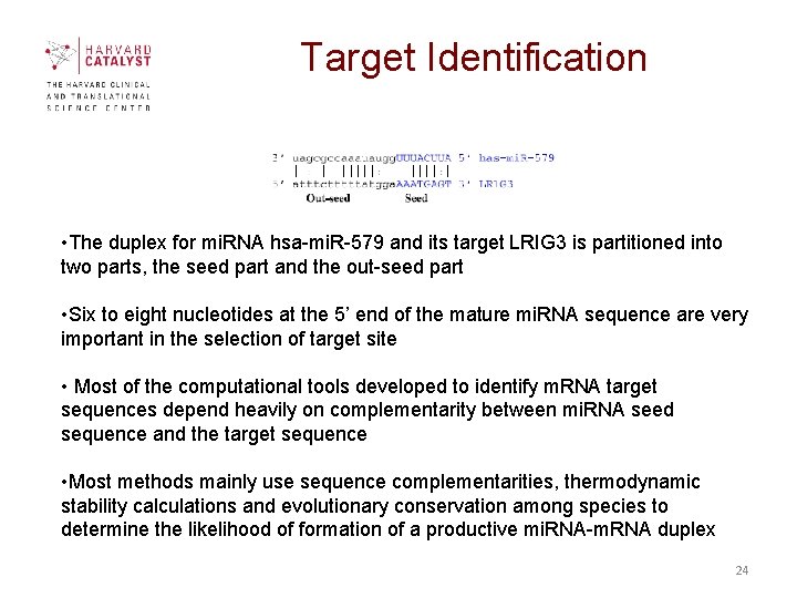 Target Identification • The duplex for mi. RNA hsa-mi. R-579 and its target LRIG Target Identification • The duplex for mi. RNA hsa-mi. R-579 and its target LRIG