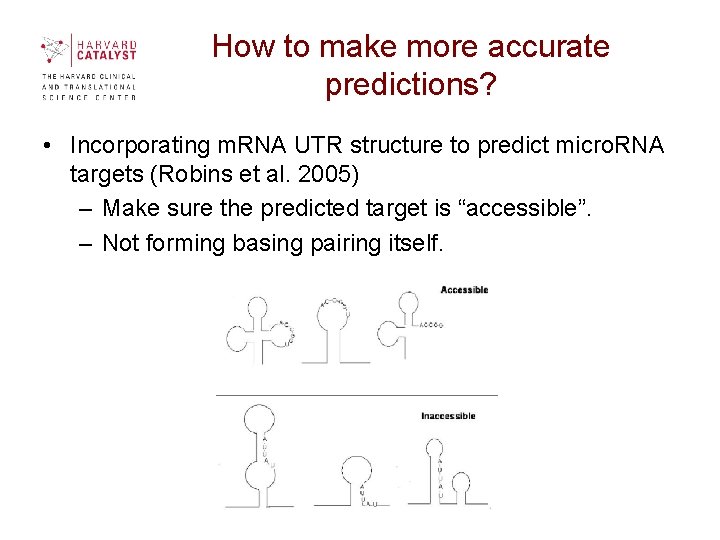How to make more accurate predictions? • Incorporating m. RNA UTR structure to predict How to make more accurate predictions? • Incorporating m. RNA UTR structure to predict