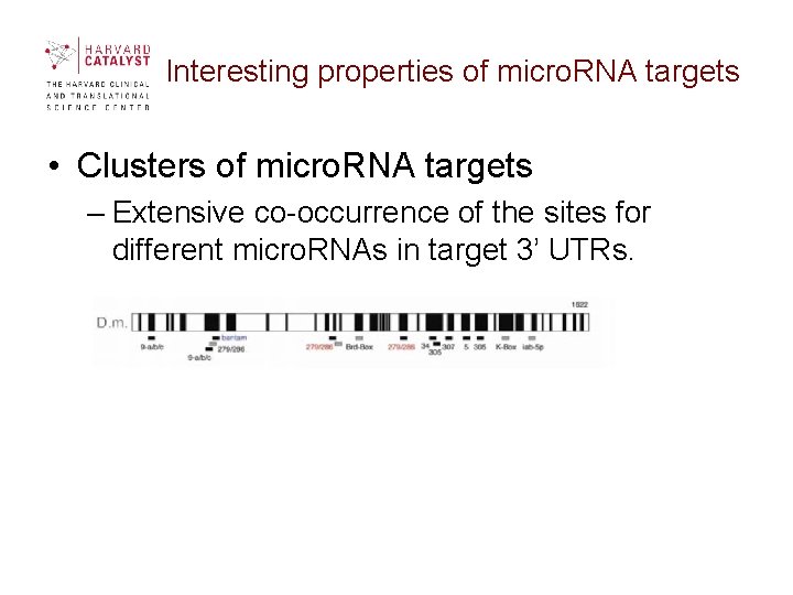 Interesting properties of micro. RNA targets • Clusters of micro. RNA targets – Extensive Interesting properties of micro. RNA targets • Clusters of micro. RNA targets – Extensive