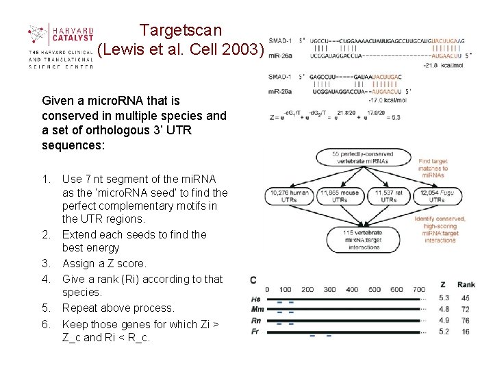 Targetscan (Lewis et al. Cell 2003) Given a micro. RNA that is conserved in Targetscan (Lewis et al. Cell 2003) Given a micro. RNA that is conserved in