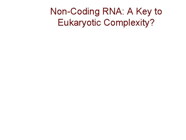 Non-Coding RNA: A Key to Eukaryotic Complexity? Non-Coding RNA: A Key to Eukaryotic Complexity?
