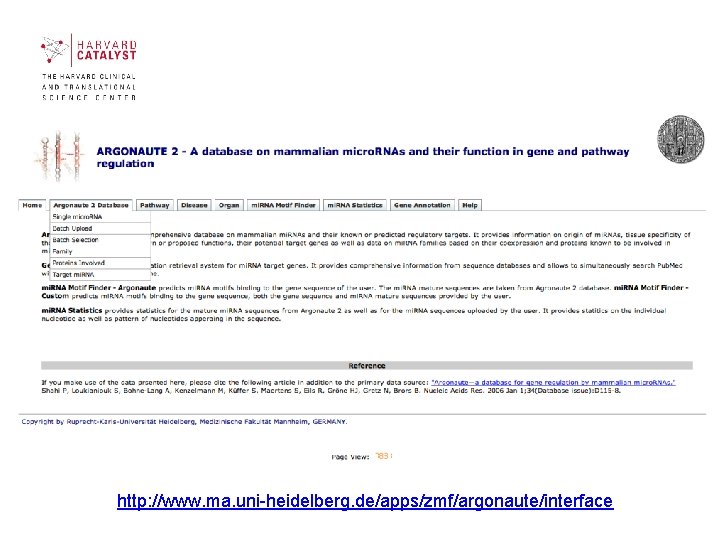 http: //www. ma. uni-heidelberg. de/apps/zmf/argonaute/interface http: //www. ma. uni-heidelberg. de/apps/zmf/argonaute/interface