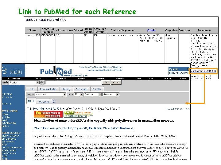Link to Pub. Med for each Reference Link to Pub. Med for each Reference