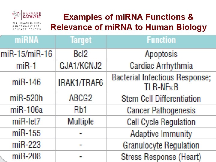 Examples of mi. RNA Functions & Relevance of mi. RNA to Human Biology 60 Examples of mi. RNA Functions & Relevance of mi. RNA to Human Biology 60