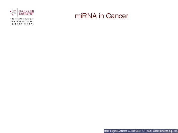 mi. RNA in Cancer mi. RNA in Cancer