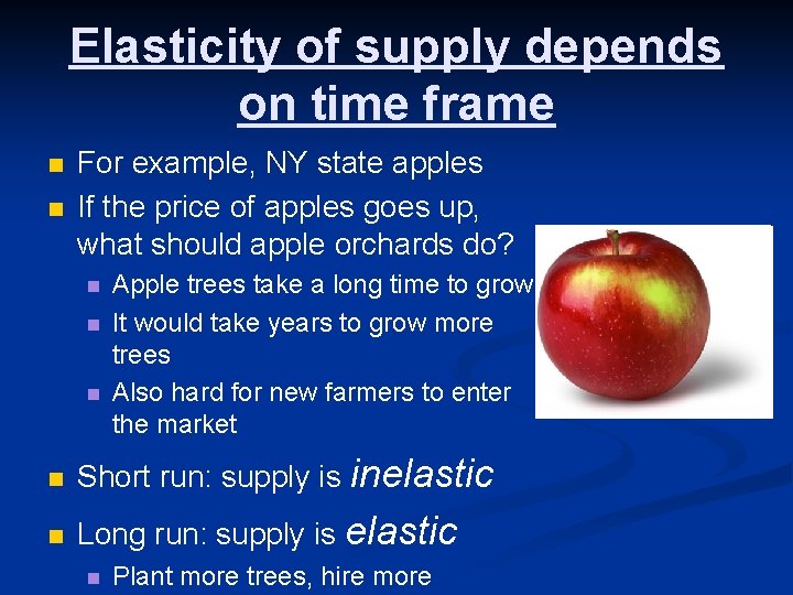 Elasticity of supply depends on time frame n n For example, NY state apples
