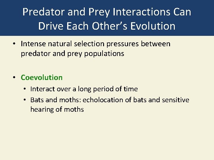 Predator and Prey Interactions Can Drive Each Other’s Evolution • Intense natural selection pressures