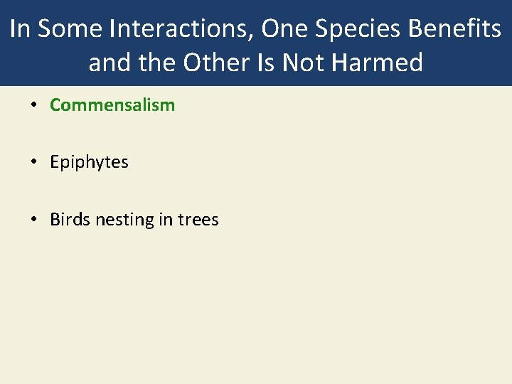 In Some Interactions, One Species Benefits and the Other Is Not Harmed • Commensalism