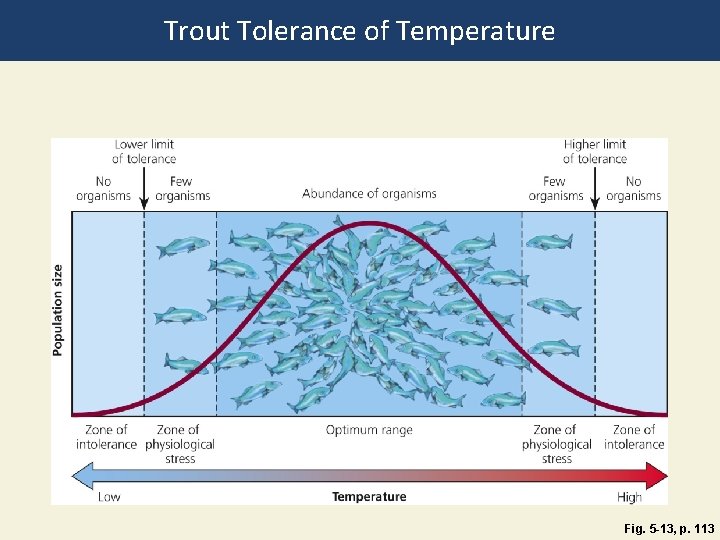 Trout Tolerance of Temperature Fig. 5 -13, p. 113 