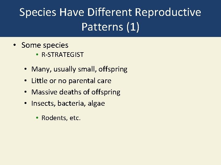 Species Have Different Reproductive Patterns (1) • Some species • R-STRATEGIST • • Many,