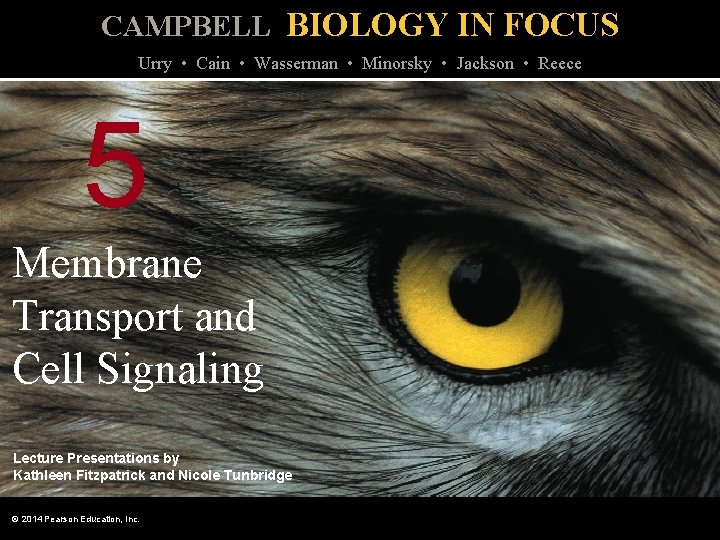 CAMPBELL BIOLOGY IN FOCUS Urry • Cain • Wasserman • Minorsky • Jackson •