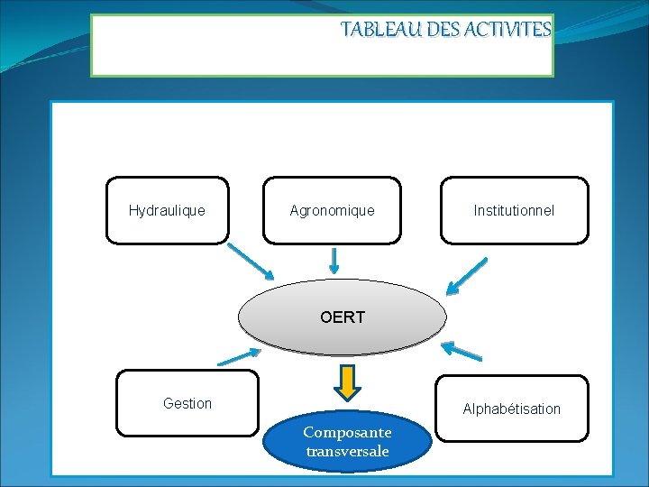 TABLEAU DES ACTIVITES Hydraulique Agronomique Institutionnel OERT Gestion Alphabétisation Composante transversale 