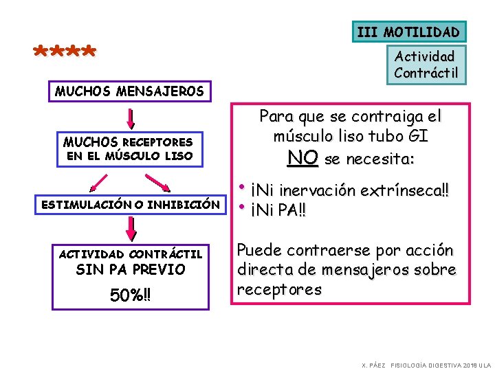 III MOTILIDAD **** MUCHOS MENSAJEROS MUCHOS RECEPTORES EN EL MÚSCULO LISO ESTIMULACIÓN O INHIBICIÓN