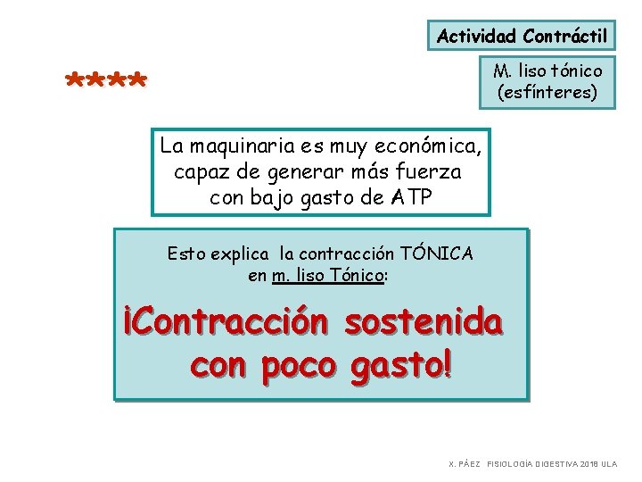 Actividad Contráctil M. liso tónico (esfínteres) **** La maquinaria es muy económica, capaz de