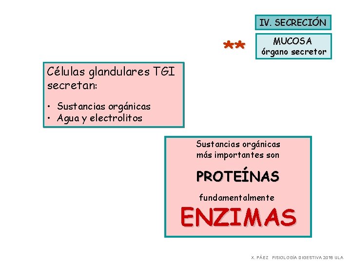 IV. SECRECIÓN Células glandulares TGI secretan: ** MUCOSA órgano secretor • Sustancias orgánicas •