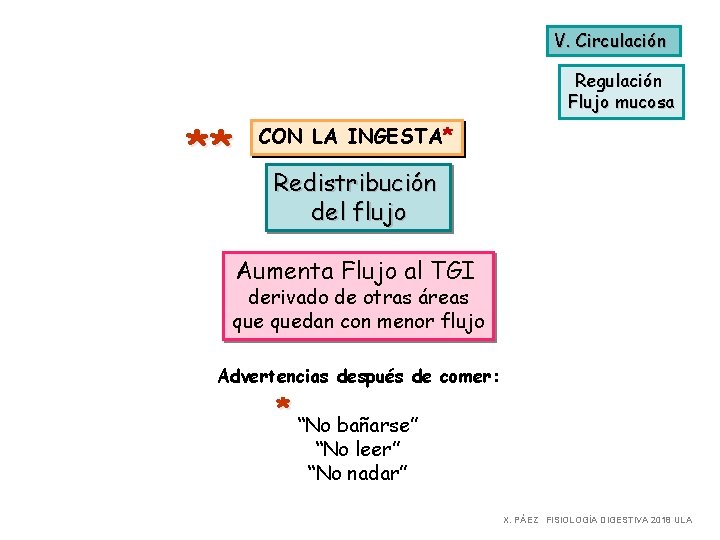 V. Circulación Regulación Flujo mucosa ** CON LA INGESTA* Redistribución del flujo Aumenta Flujo