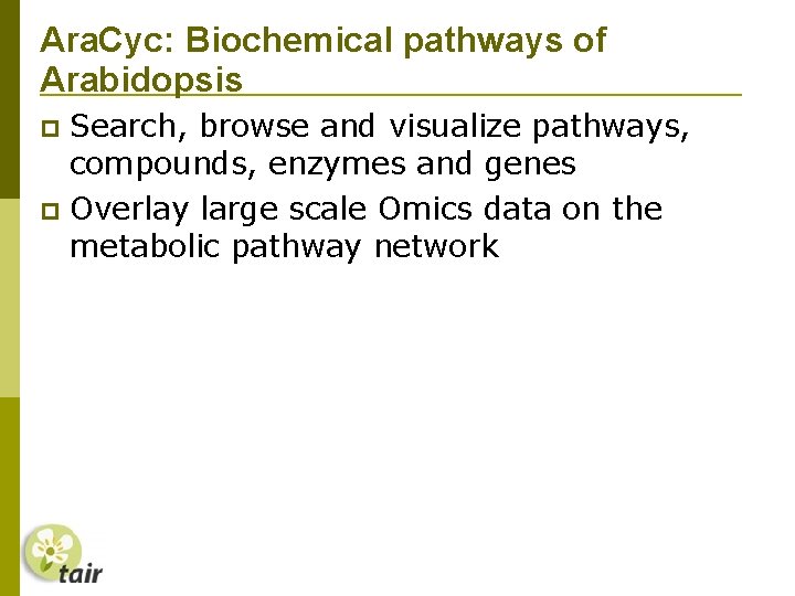 Ara. Cyc: Biochemical pathways of Arabidopsis Search, browse and visualize pathways, compounds, enzymes and