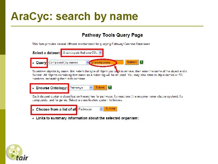 Ara. Cyc: search by name 