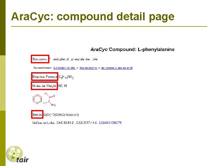 Ara. Cyc: compound detail page 