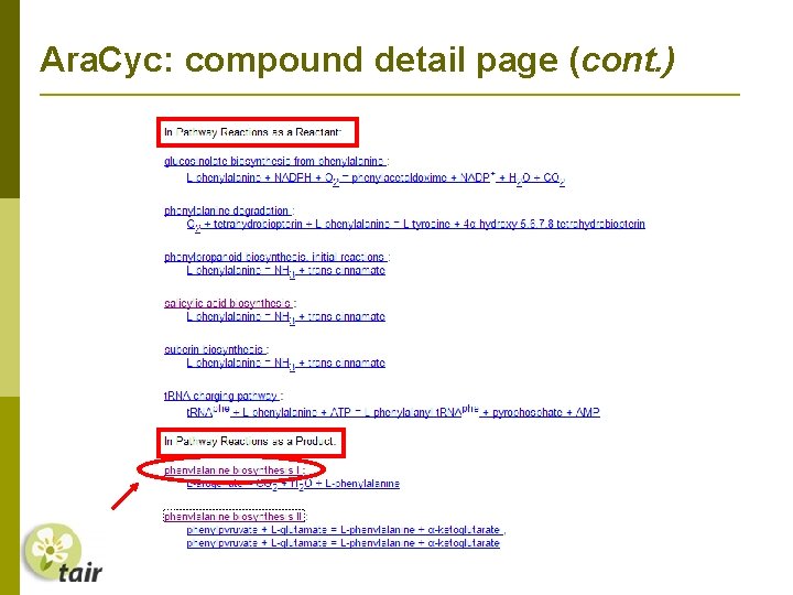 Ara. Cyc: compound detail page (cont. ) 