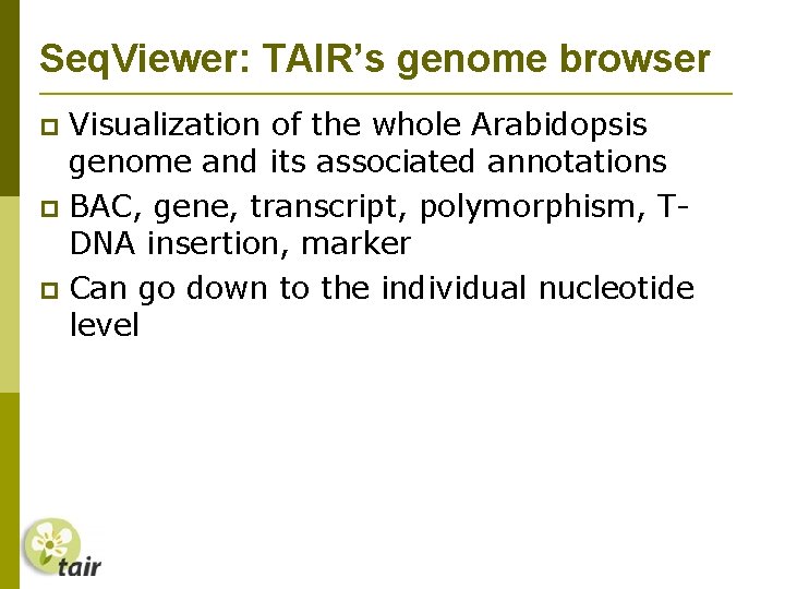 Seq. Viewer: TAIR’s genome browser Visualization of the whole Arabidopsis genome and its associated