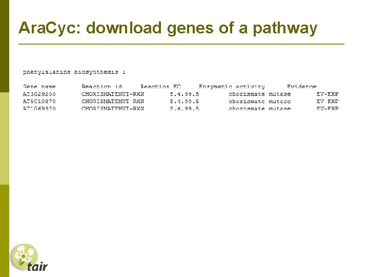 Ara. Cyc: download genes of a pathway 