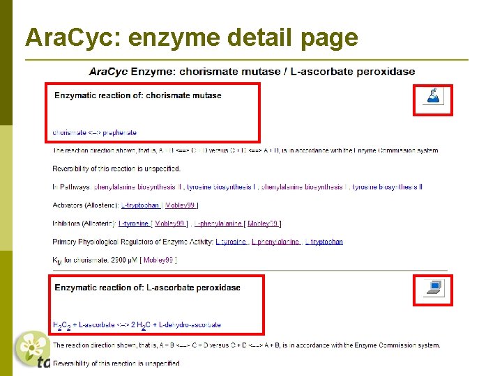 Ara. Cyc: enzyme detail page 
