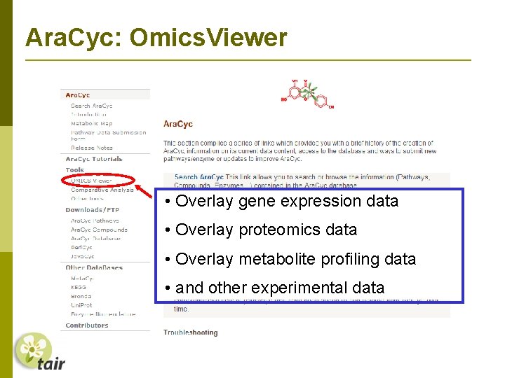 Ara. Cyc: Omics. Viewer • Overlay gene expression data • Overlay proteomics data •