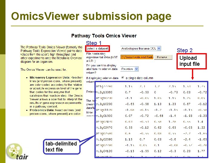 Omics. Viewer submission page Step 1 Step 2 Upload input file tab-delimited text file
