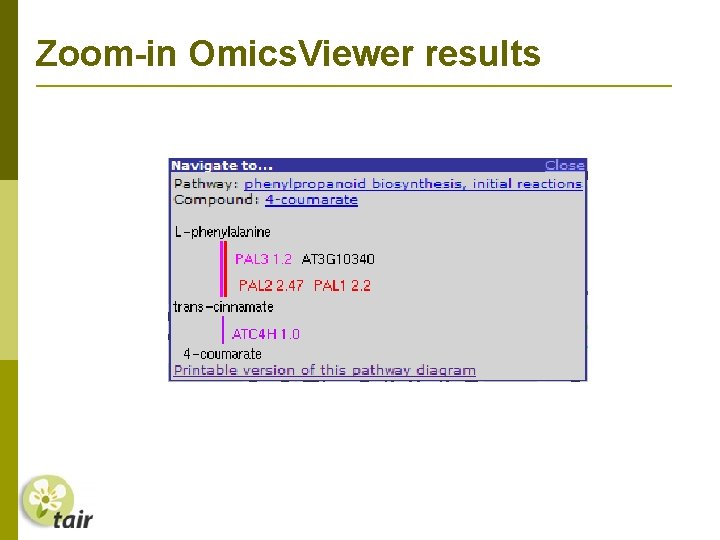 Zoom-in Omics. Viewer results 