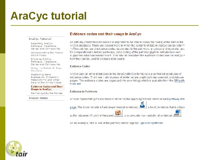 Ara. Cyc tutorial 