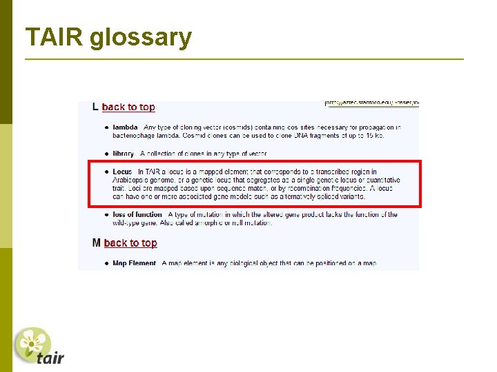 TAIR glossary 