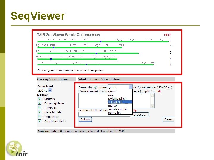 Seq. Viewer 