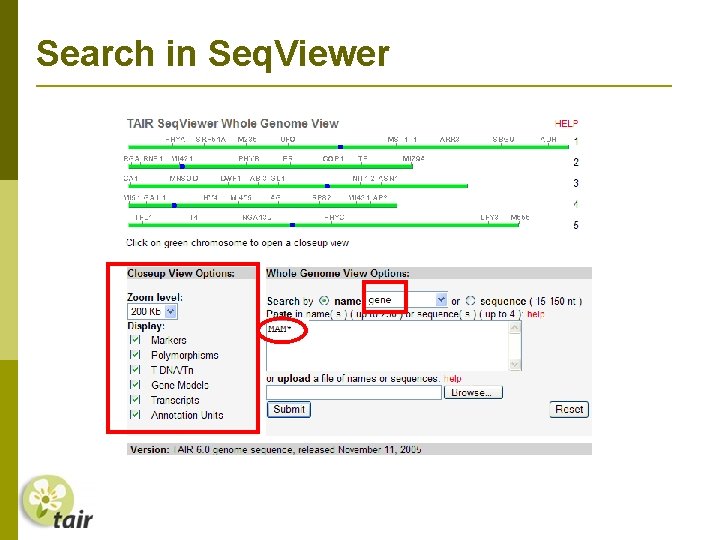 Search in Seq. Viewer 