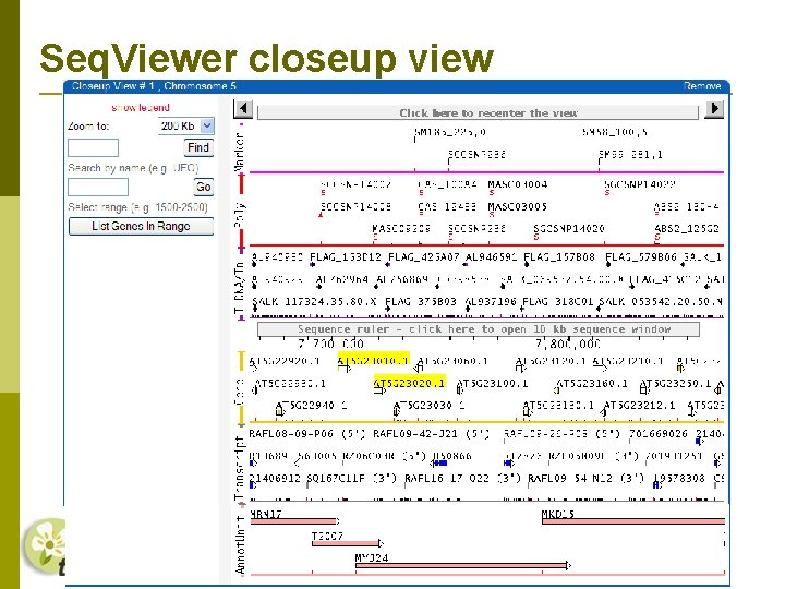 Seq. Viewer closeup view 