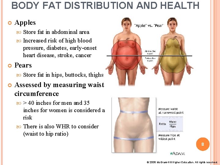 BODY FAT DISTRIBUTION AND HEALTH Apples Store fat in abdominal area Increased risk of